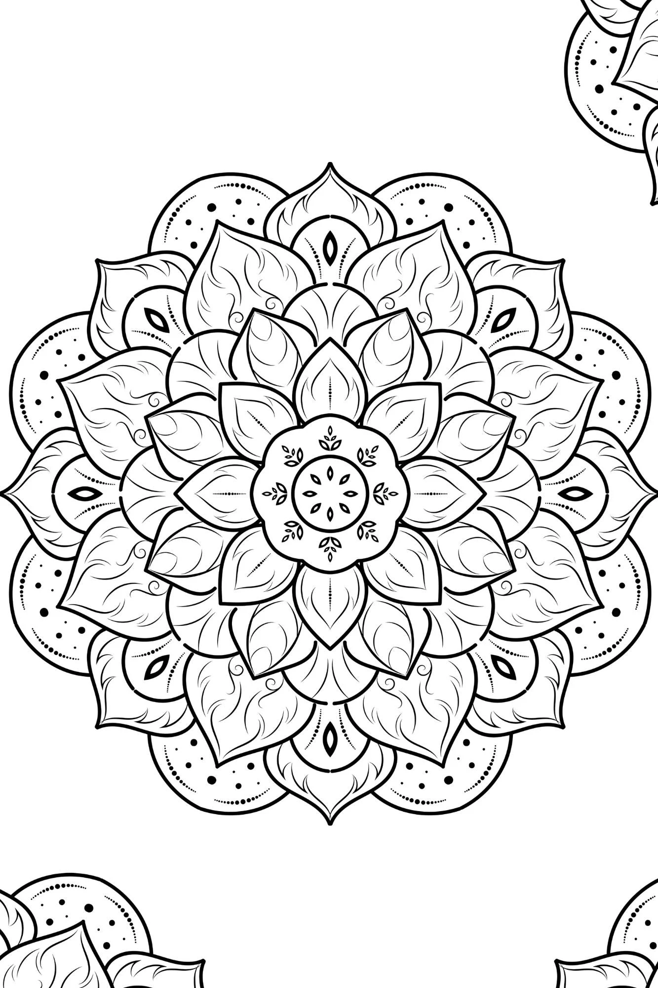 Mandala Coloring Book