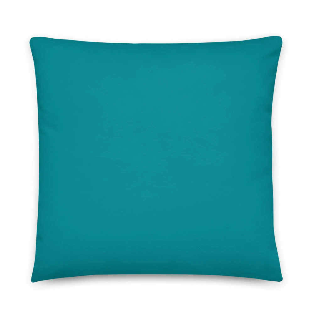 Basic Pillow.  Define Success Achieve It And Build a Life