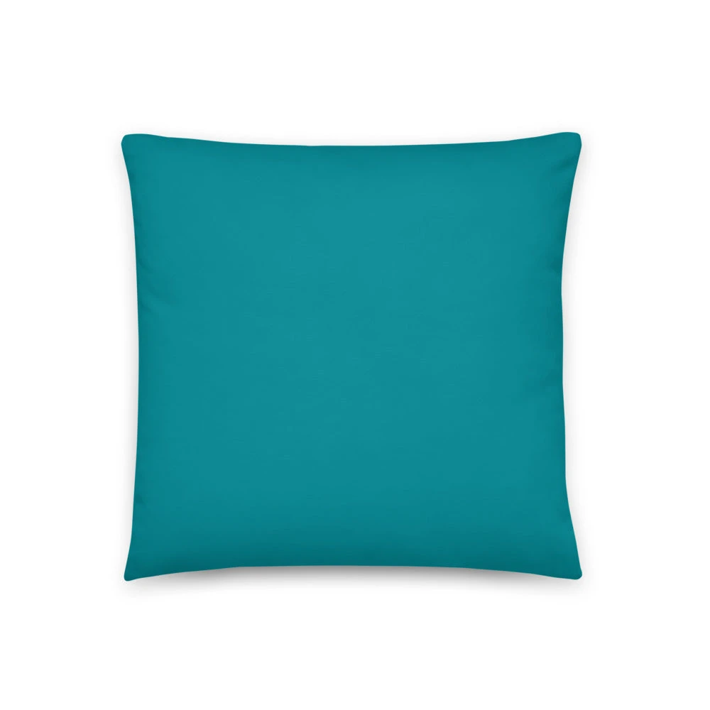 Basic Pillow.  Define Success Achieve It And Build a Life