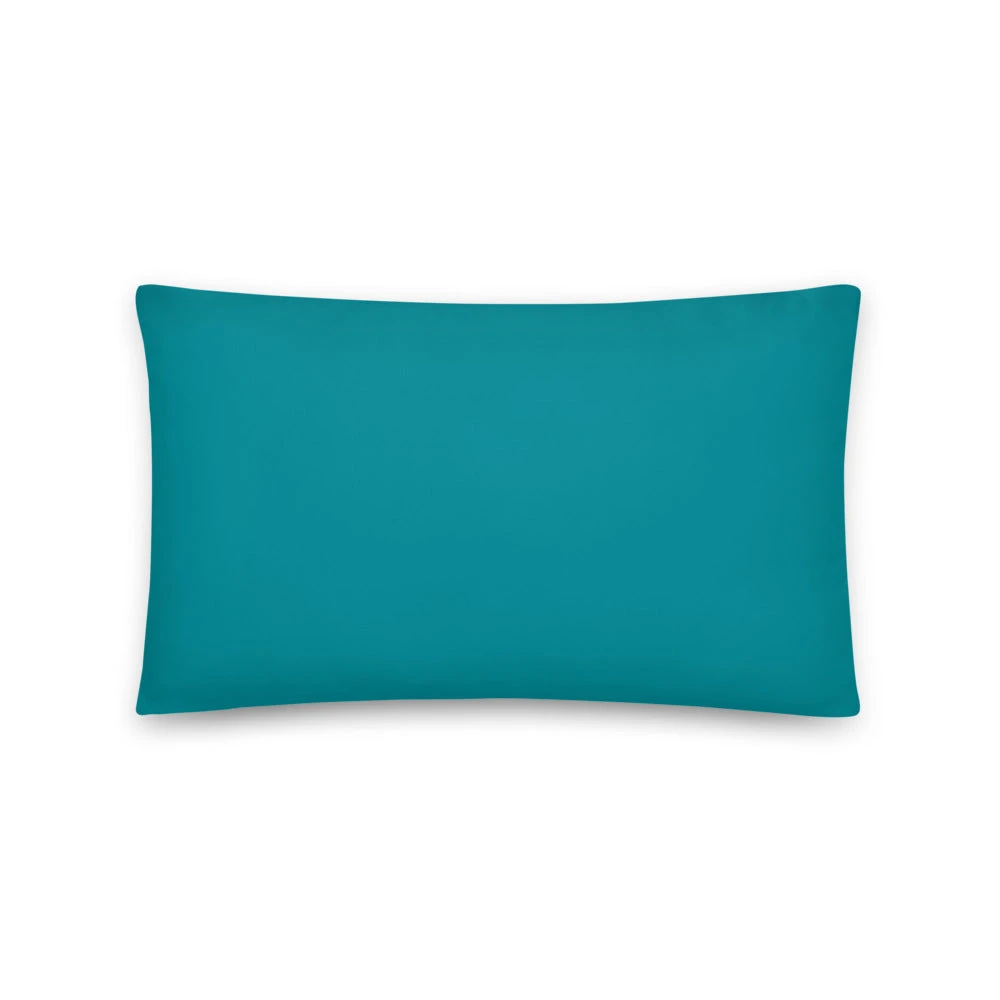 Basic Pillow.  Define Success Achieve It And Build a Life